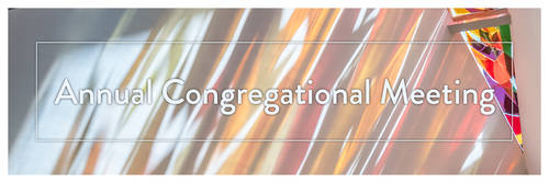 Banner Image for Annual Congregational Meeting of the CRS Board of Directors