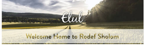 Banner Image for Lay Led Virtual Elul Group