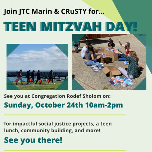 Banner Image for Teen Mitzvah Day